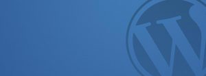 Content Management Systems Adelaide | CMS | Thinking IT